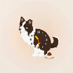 Brown and white Border Collie wall clock with swinging poop pendulum