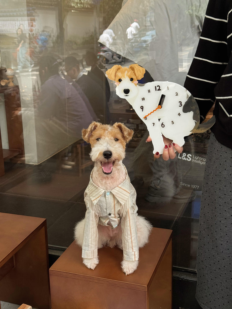 Custom Hand-Drawn Pet Pendulum Clock