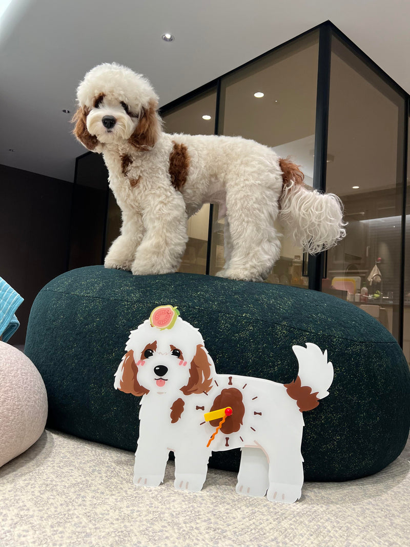 Custom Hand-Drawn Pet Pendulum Clock