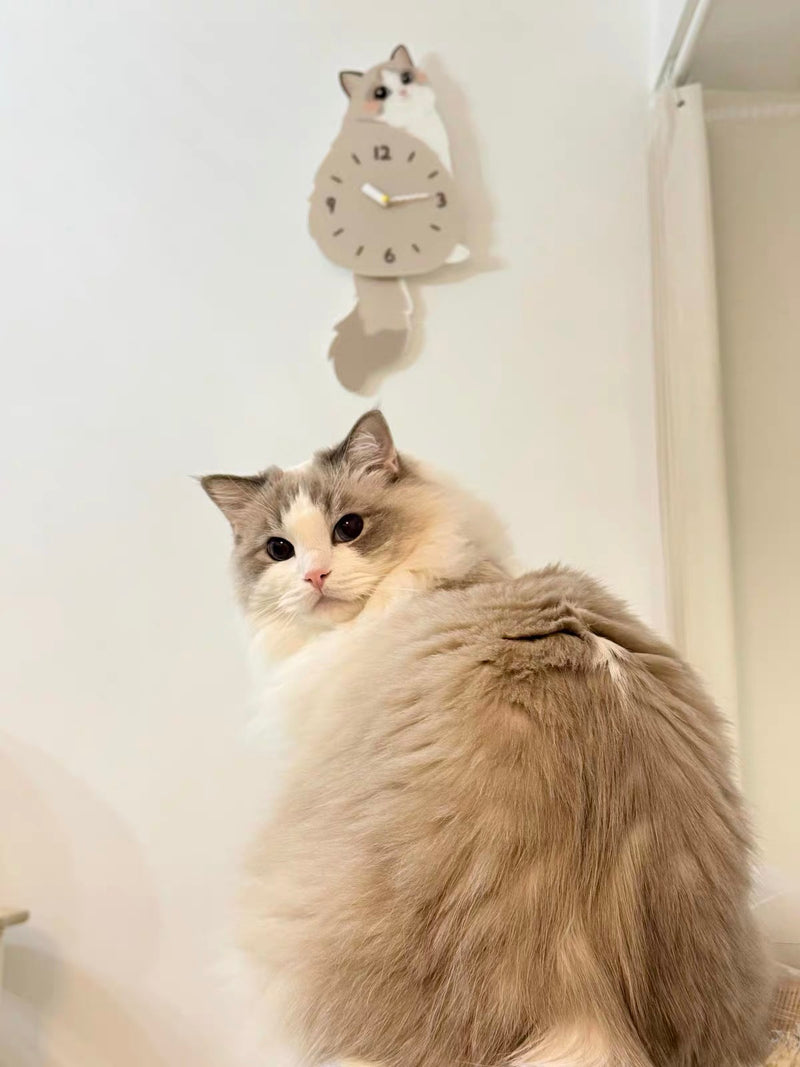 Ragdoll Cat Wall Clock with Wagging Tail