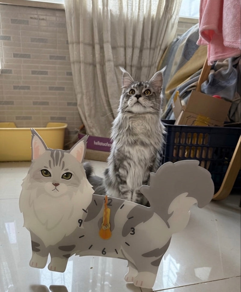 Maine Coon Cat Wall Clock with Swinging Paw