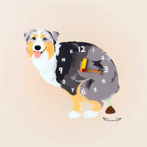 Australian Shepherd Poop-Time wall clock in Blue Merle with swinging poop pendulum