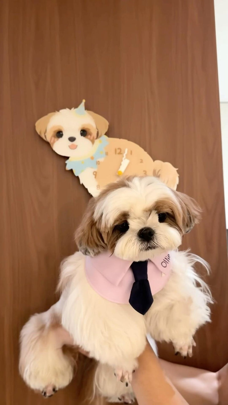 Shih Tzu pendulum wall clock in a home setting 2